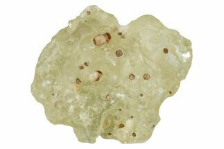 Libyan Desert Glass ( g) - Meteorite Impactite #239062