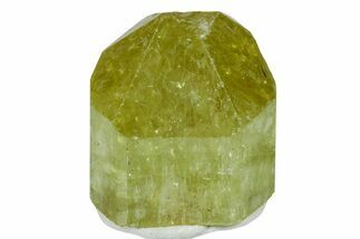 Gemmy, Yellow Apatite Crystal - Morocco #239142