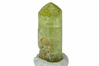 Gemmy, Yellow Apatite Crystal - Morocco #239156