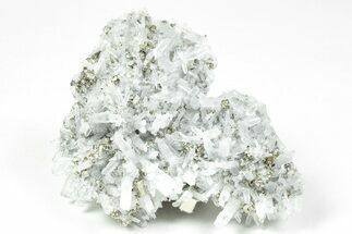 Gleaming Pyrite Crystals with Quartz Crystals - Peru #238929