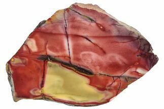 Colorful, Polished Mookaite Jasper Slab - Australia #239657