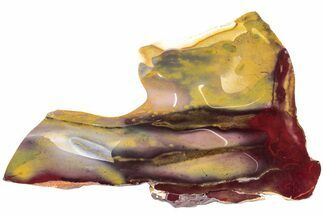 Colorful, Polished Mookaite Jasper Slab - Australia #239668