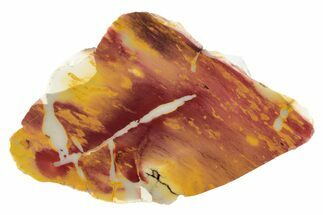 Colorful, Polished Mookaite Jasper Slab - Australia #239692