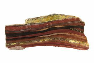 Polished Tiger Iron Stromatolite Slab - Billion Years #239613
