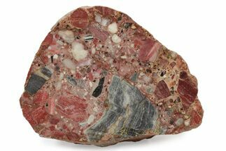 Polished Brecciated Chert Section - Australia #239893