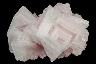 Pink Halite Crystal Cluster - Trona, California #239542