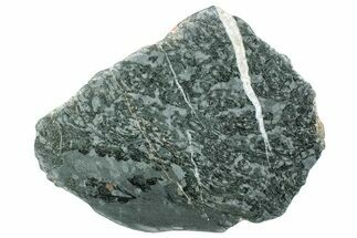 Polished Stromatolite (Alcheringa) Slab - Billion Years #239944
