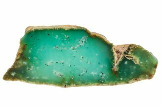 Polished Green Chrysoprase Section - Western Australia #239705