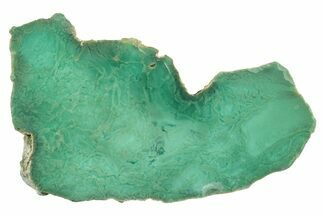 Polished Green Chrysoprase Slab - Western Australia #239714