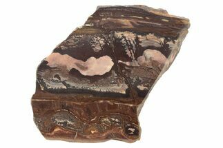 Polished Outback Jasper - Western Australia #240019