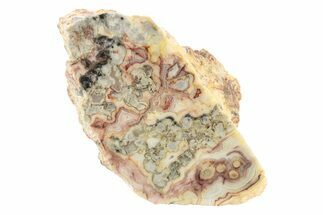 Polished Crazy Lace Agate Section - Australia #240058