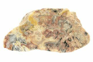 Polished Crazy Lace Agate Section - Australia #240059