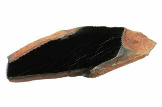 Polished Black Jade (Actinolite) Section - Western Australia #240189