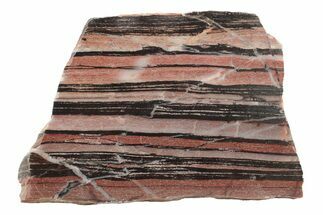 Polished Banded Pinyalling Jasper Slab - Western Australia #240151