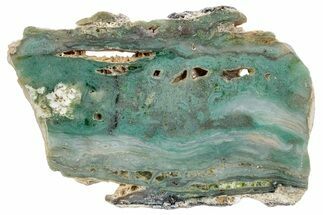 Polished Green Magneprase Slab - Western Australia #239996