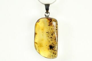 Polished Baltic Amber Pendant (Necklace) - Sterling Silver #240316