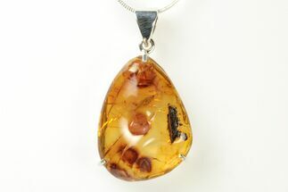 Polished Baltic Amber Pendant (Necklace) - Sterling Silver #240319
