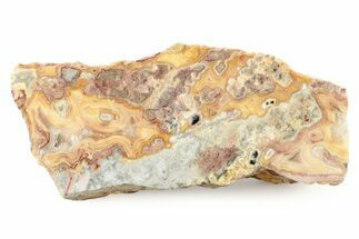 Polished Crazy Lace Agate Section - Australia #239808