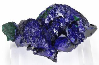 Pristine Azurite Crystals on Malachite - Milpillas Mine, Mexico #240669