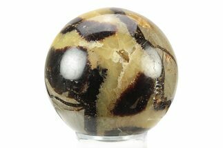 Polished Septarian Sphere - Madagascar #238986