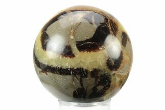 Polished Septarian Sphere - Madagascar #238988