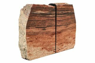 Tall, Arizona Petrified Wood Bookends - Red and Black #240768