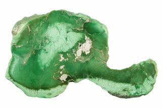 Polished Bright Green Variscite Slab - Amatrice Hill, Utah #241205