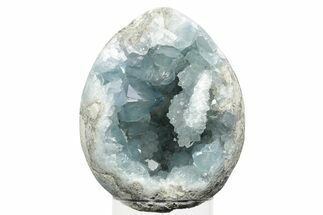 Crystal Filled Celestine (Celestite) Egg Geode - Madagascar #241112