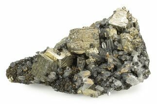 Gleaming, Cubic Pyrite Crystals with Quartz Crystals - Peru #238966