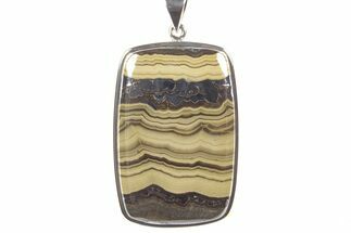 Polished Schalenblende Pendant (Necklace) - Sterling Silver #241248