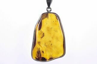 Polished Baltic Amber Pendant (Necklace) - Sterling Silver #241221