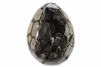 Septarian Dragon Egg Geode - Black Crystals #241555