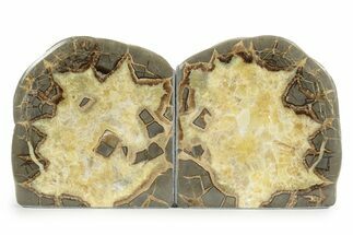 Beautiful Septarian Geode Bookends - Utah #241990