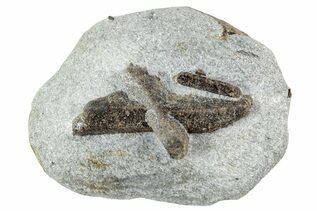 Buy Staurolite