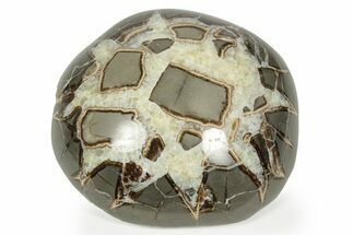 Beautiful Polished Septarian Nodule - Utah #242482