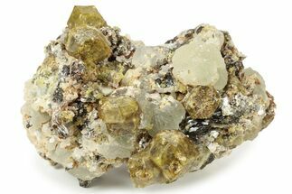 Yellow Andradite-Grossular Garnet Cluster with Prehnite - Mali #242496