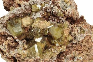 Yellow Andradite-Grossular Garnet Cluster with Clinochlore - Mali #242498