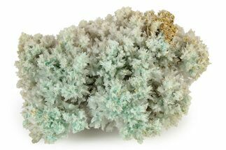 White and Teal Aragonite Formation - Pilhuatepec, Mexico #242652