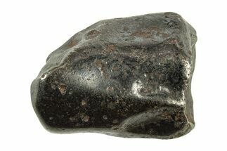 Fusion Crusted Sikhote-Alin Iron Meteorite ( grams) - Russia #243174