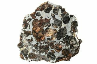 Polished Sericho Pallasite Meteorite (grams) - Kenya #242932