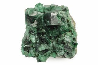 Fluorescent Green Fluorite Cluster - Rogerley Mine, England #243209