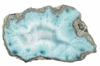 Section Of Larimar Replaced Wood Limb Cast #243257