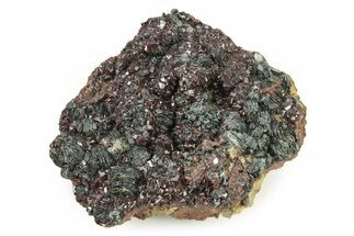 Deep-Red, Gemmy Hessonite Garnets on Clinochlore - Italy #243396