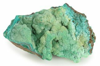 Green & Blue Conichalcite with Chrysocolla - Namibia #244375