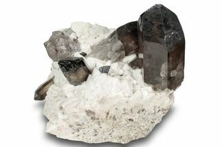 Lustrous Smoky Quartz Crystals on Microcline - Colorado #244506