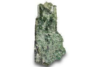 Green Elbaite Tourmaline Crystal - Leduc Mine, Quebec #244910