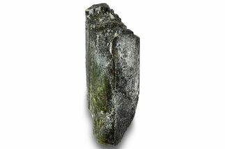 Black & Green Elbaite Tourmaline Crystal - Leduc Mine, Quebec #244913