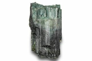 Black & Green Elbaite Tourmaline Crystal - Leduc Mine, Quebec #244917