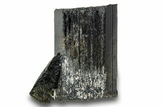 Black Tourmaline (Schorl) Crystal - Leduc Mine, Quebec #244926