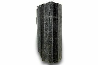 Black Tourmaline (Schorl) Crystal - Leduc Mine, Quebec #244927